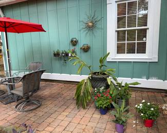 More plants and decor