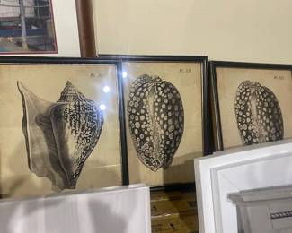 Designer Wall Prints