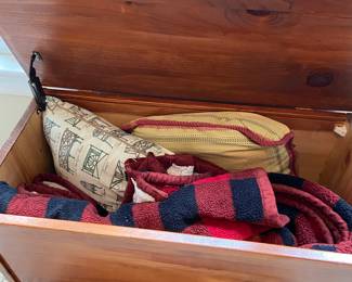 Interior of storage chest
