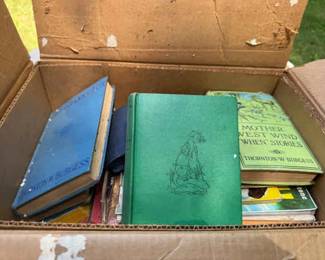 Mystery Box Of Vintage Books