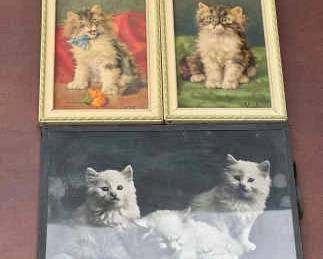 (2) Antique D. Merlin Daniel Puffy Cat 3-D Pictures & Lovely Cat Photograph