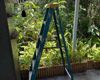 Florida scenery makes even ladders look good!