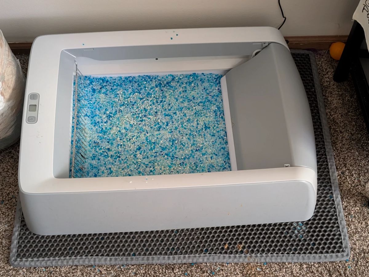 Self Cleaning litter box