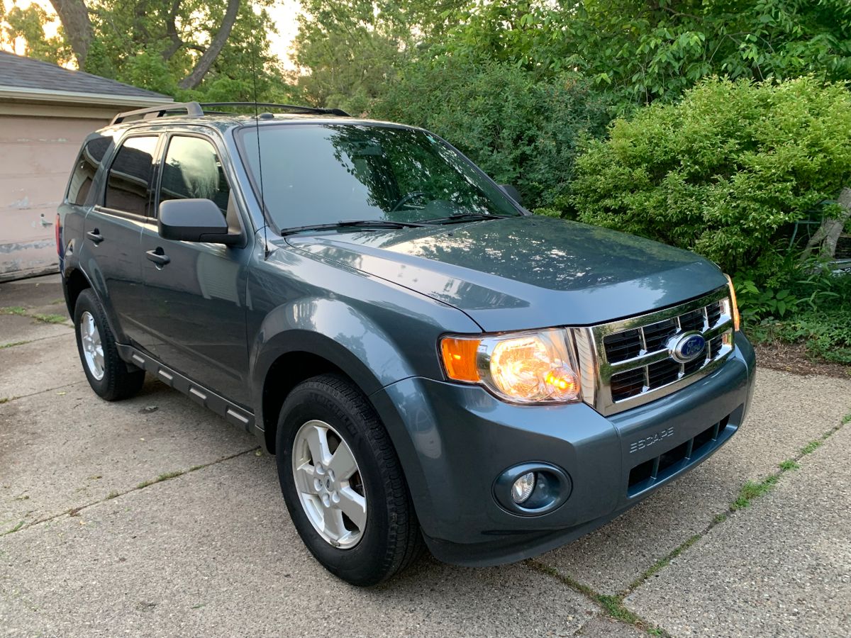 Scroll Down for More Pictures