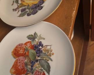 Winterling Roslau Bavaria Germany fruit decorated plates 