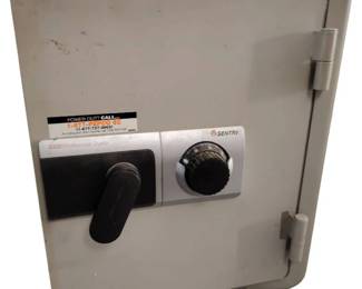 Professional Sentry Combination Safe