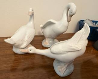 Geese…