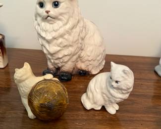 CATS…
