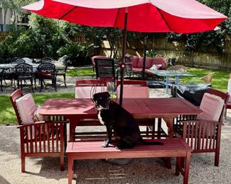 Dog Days of Summer