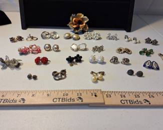 Earrings And a Pin