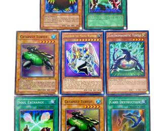 1996 Rare Yu-Gi-Oh Holographic Card Collection

