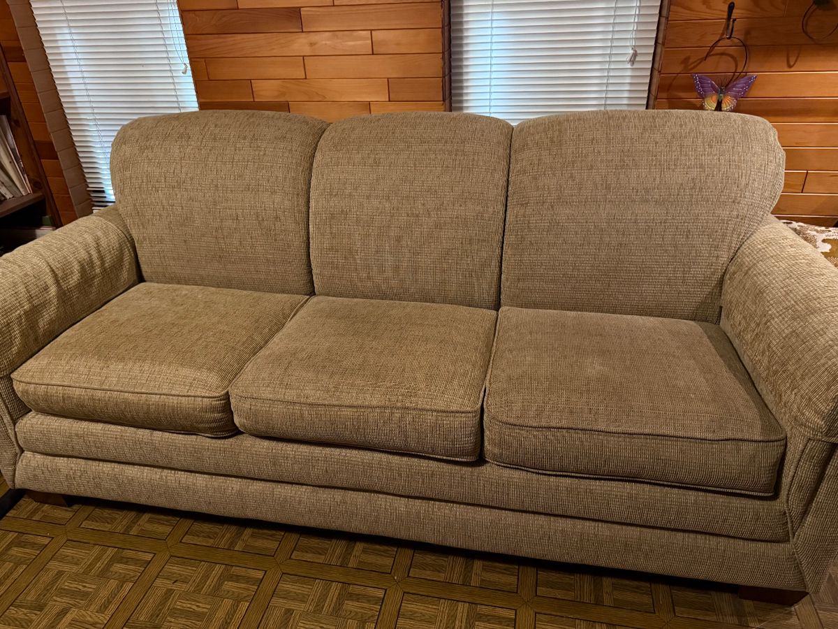 Sleeper Sofa $200