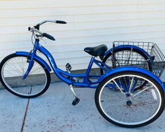 Schwann Meridian adult single speed trike