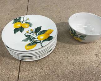 Lemon Dishes Coasters