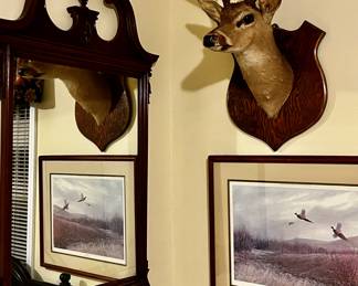 Vintage Whitetail Mount