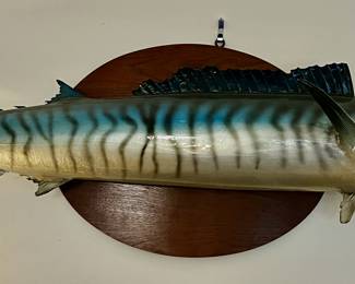 Vintage Wahoo mount