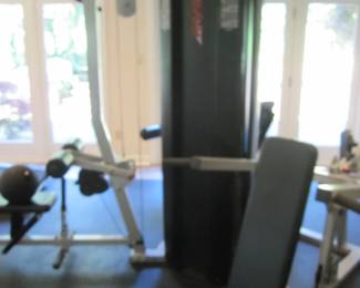Life Fitness home gym