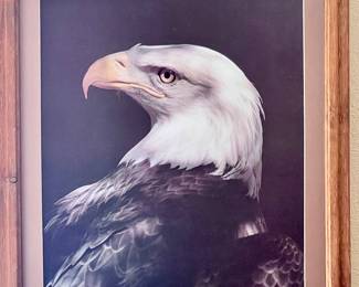 Framed Eagle print