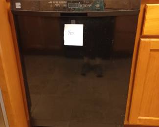 Working dishwasher