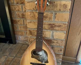 Vintage mandolin