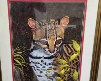 big-eyed cat by P. Valerio 1992
