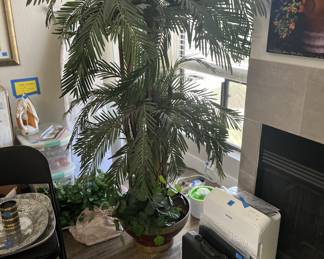Plants
