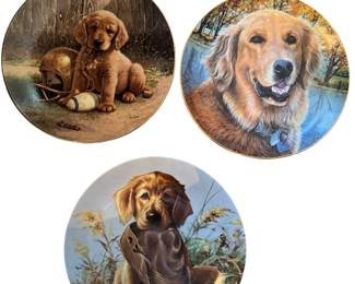 Golden Retriever plates