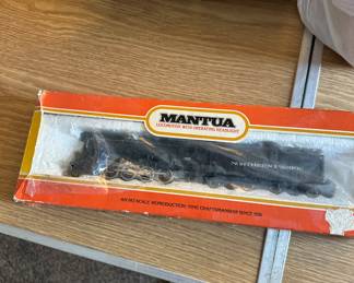 Mantua Train