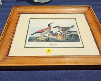 FRAMED DUCK PICTURE DECOR