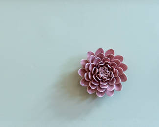 Art set of 6 30.00
