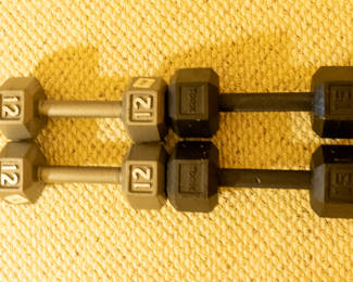 weights 10.00