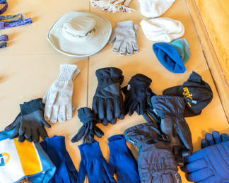 misc gloves 40.00