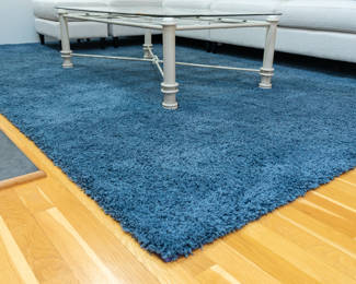 11' x 8.5 Area rug 40.00