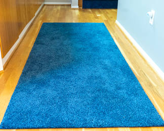 Blue Runner 34 in by 84 inches 25.00