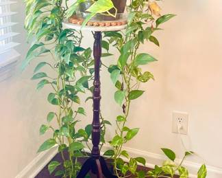 Plants/Plant Stands