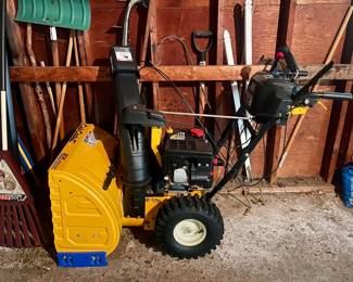 Snowblower