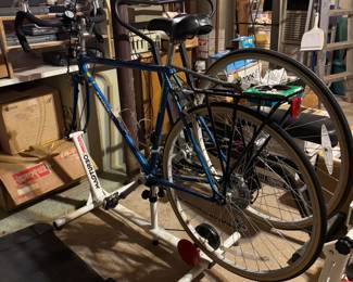 10 speed Schwinn and trainer