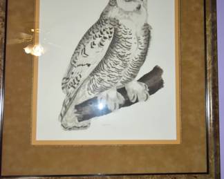 Snowy Owl Print that is featured in the Smithsonian