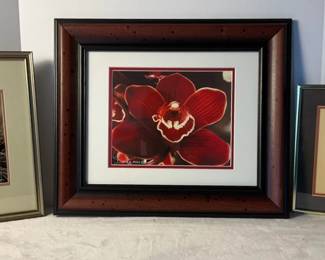 Signed James Pollock, Dindys Photo Pasque