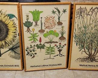 NY Botanical Garden Prints