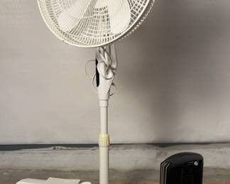 Fan Lot