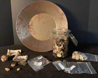 Rock Collection Including Semi Precious Stones Fossils
