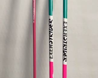 Three Walking Sticks