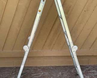 Multi Position Folding Ladder
