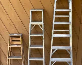 3 Step Ladders
