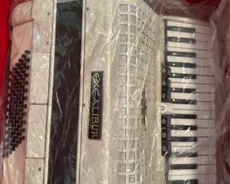 Accordion in Case - Excalibur - never used
