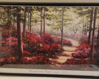 Beautiful Woodland Trail Schaefer Miles Framed Print