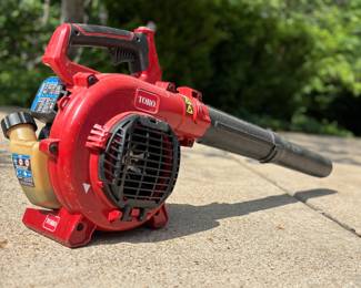 $100. Toro gas blower