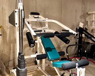 $500; Pacific Fitness Gym system.  Other workout machines also available at the sale.