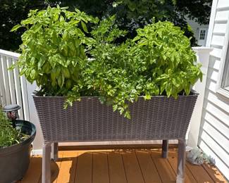Elevated raised wicker garden bed
